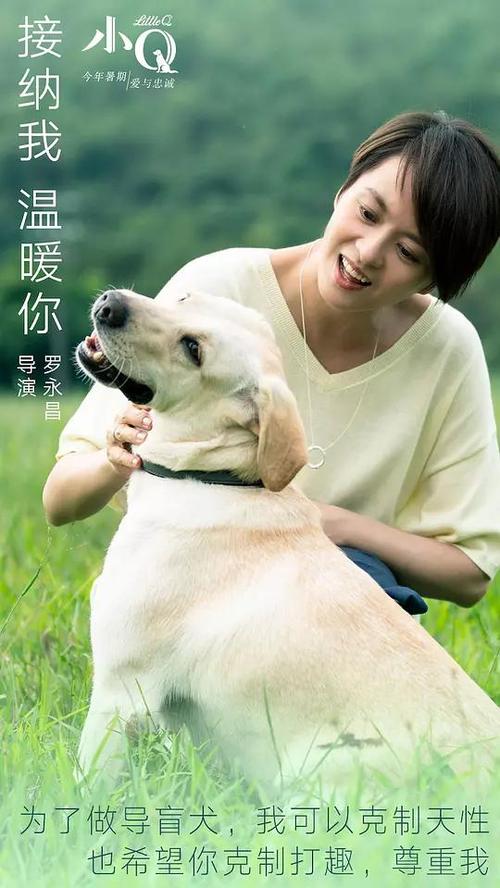 本尼迪克特学院文凭毕业证哪里可以做假的